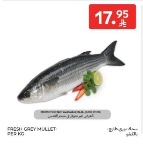 available at كارفور in مملكة العربية السعودية, السعودية, سعودية - المدينة المنورة