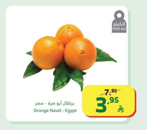 Orange from Egypt available at الراية in مملكة العربية السعودية, السعودية, سعودية - جدة