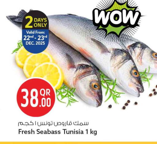 available at سفاري هايبر ماركت in قطر - الوكرة