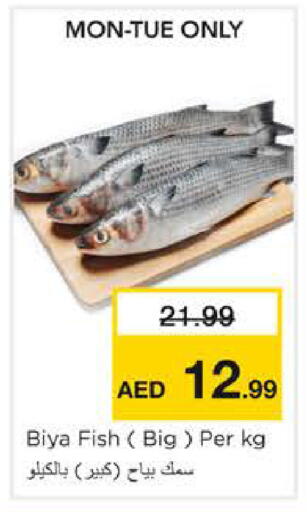 available at نستو هايبرماركت in الإمارات العربية المتحدة , الامارات - الشارقة / عجمان