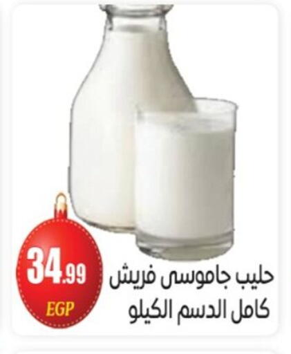 available at أولاد المحاوى in Egypt - القاهرة