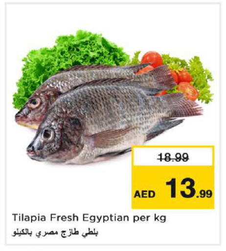 available at نستو هايبرماركت in الإمارات العربية المتحدة , الامارات - دبي