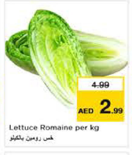 Lettuce available at نستو هايبرماركت in الإمارات العربية المتحدة , الامارات - أبو ظبي