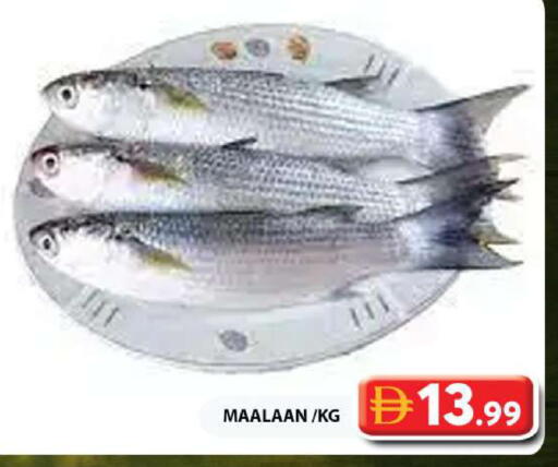 available at Grand Hyper Market in UAE - Dubai