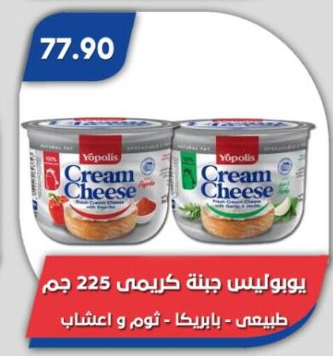 available at Bassem Market in Egypt - Cairo