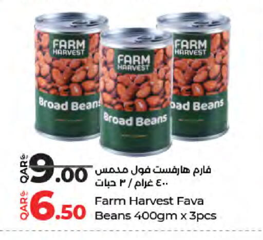 available at لولو هايبرماركت in قطر - أم صلال
