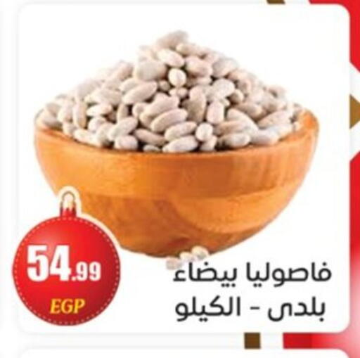 available at أولاد المحاوى in Egypt - القاهرة