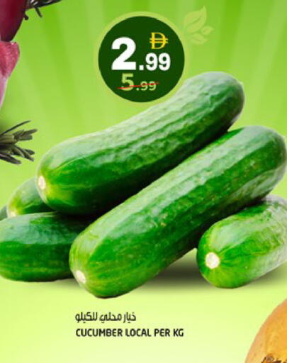 Cucumber available at هاشم هايبرماركت in الإمارات العربية المتحدة , الامارات - الشارقة / عجمان