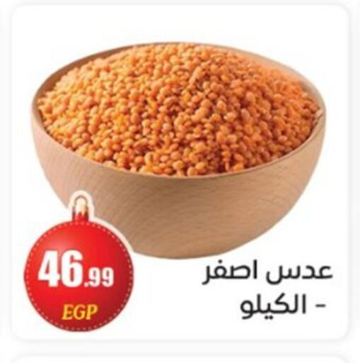 available at أولاد المحاوى in Egypt - القاهرة
