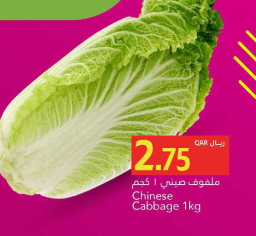 Cabbage from China available at جلف فود سنتر in قطر - الضعاين
