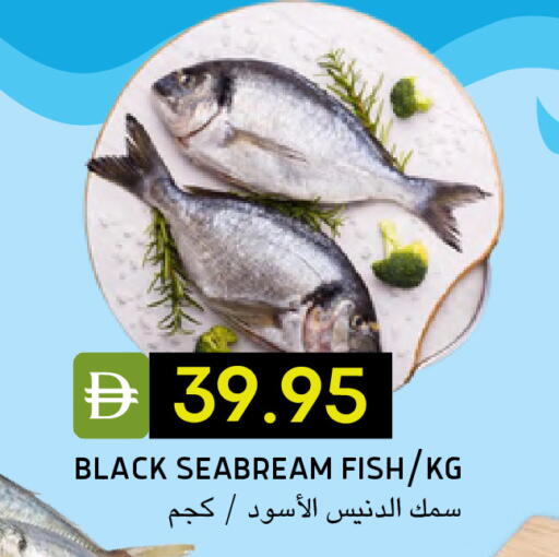 available at سيليكت ماركت in الإمارات العربية المتحدة , الامارات - أبو ظبي