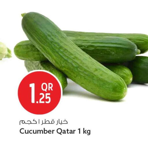 Cucumber from Qatar available at سفاري هايبر ماركت in قطر - الدوحة