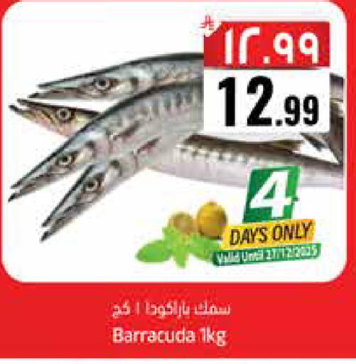 available at ستي فلاور in مملكة العربية السعودية, السعودية, سعودية - سكاكا