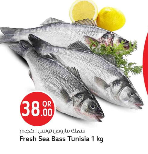 available at سفاري هايبر ماركت in قطر - الريان