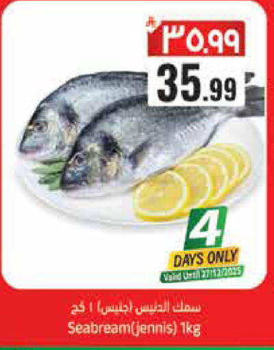 available at City Flower in KSA, Saudi Arabia, Saudi - Hail