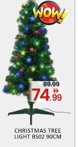 Mango available at مانجو هايبرماركت in الإمارات العربية المتحدة , الامارات - دبي