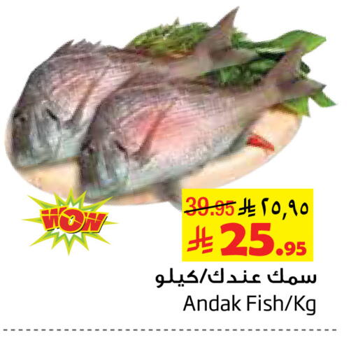 available at Layan Hyper in KSA, Saudi Arabia, Saudi - Al Khobar