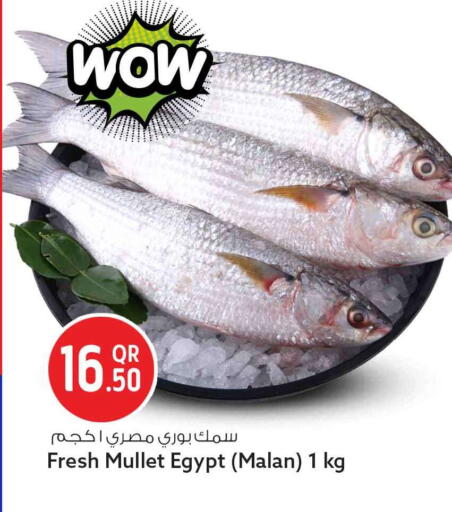 available at سفاري هايبر ماركت in قطر - الريان