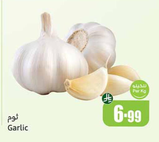 Garlic available at Othaim Markets in KSA, Saudi Arabia, Saudi - Yanbu