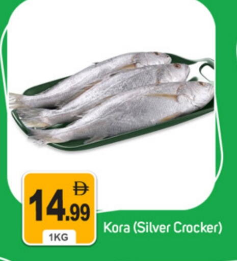 available at سوق طلال in الإمارات العربية المتحدة , الامارات - دبي