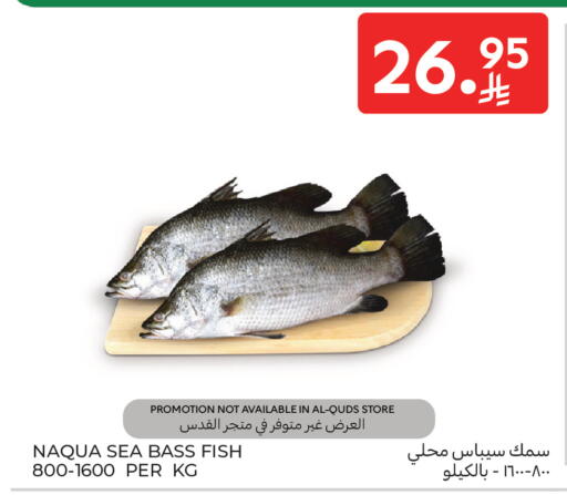 available at كارفور in مملكة العربية السعودية, السعودية, سعودية - بريدة