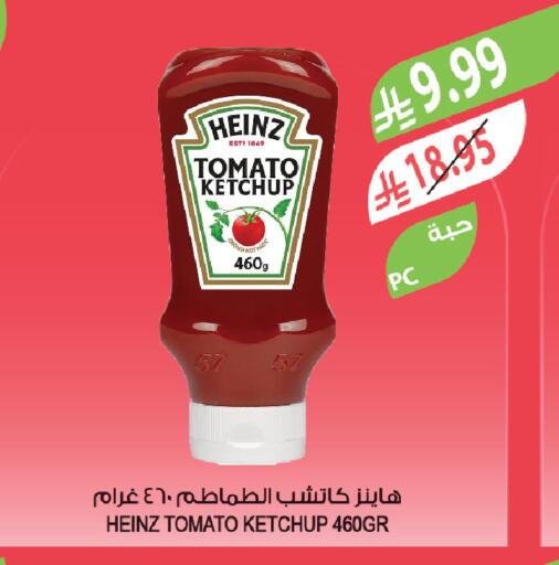 Tomato available at Farm  in KSA, Saudi Arabia, Saudi - Yanbu