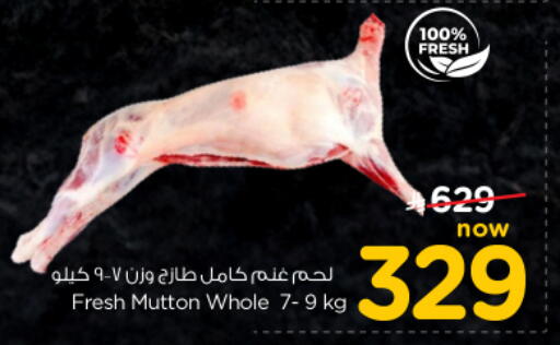 available at نستو in مملكة العربية السعودية, السعودية, سعودية - بريدة