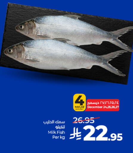 available at LULU Hypermarket in KSA, Saudi Arabia, Saudi - Mecca
