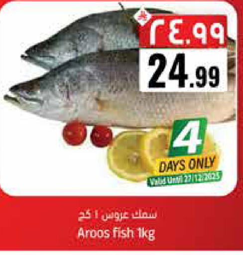 available at ستي فلاور in مملكة العربية السعودية, السعودية, سعودية - نجران