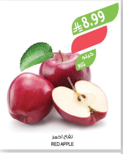 Apple available at Farm  in KSA, Saudi Arabia, Saudi - Sakaka