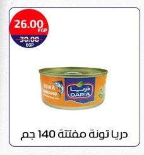 available at Al-Allaf Market in Egypt - Cairo