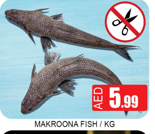 available at Lucky Center in UAE - Sharjah / Ajman