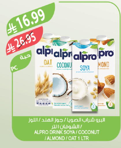 Coconut available at Farm  in KSA, Saudi Arabia, Saudi - Khafji