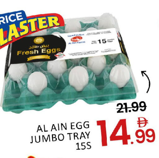 Mango available at مانجو هايبرماركت in الإمارات العربية المتحدة , الامارات - دبي