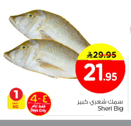 available at Nesto in KSA, Saudi Arabia, Saudi - Al Majmaah