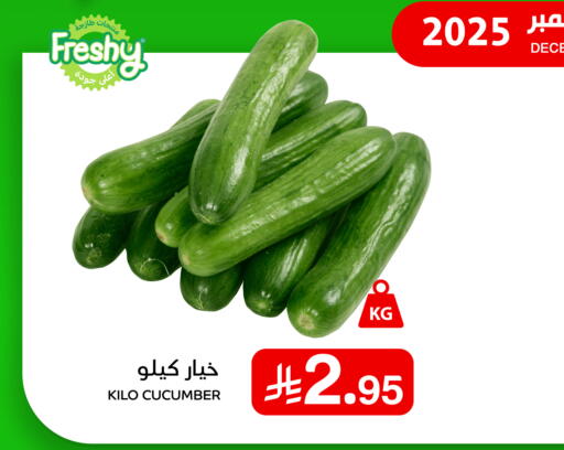 Cucumber available at Meem Market  in KSA, Saudi Arabia, Saudi - Al Hasa