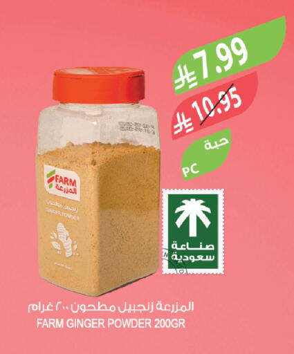 Ginger available at المزرعة in مملكة العربية السعودية, السعودية, سعودية - سيهات