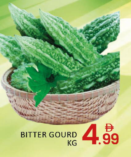 Mango available at مانجو هايبرماركت in الإمارات العربية المتحدة , الامارات - دبي