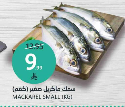 available at مركز الجزيرة للتسوق in مملكة العربية السعودية, السعودية, سعودية - الرياض