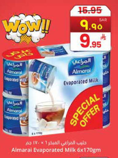 available at ستي فلاور in مملكة العربية السعودية, السعودية, سعودية - سكاكا