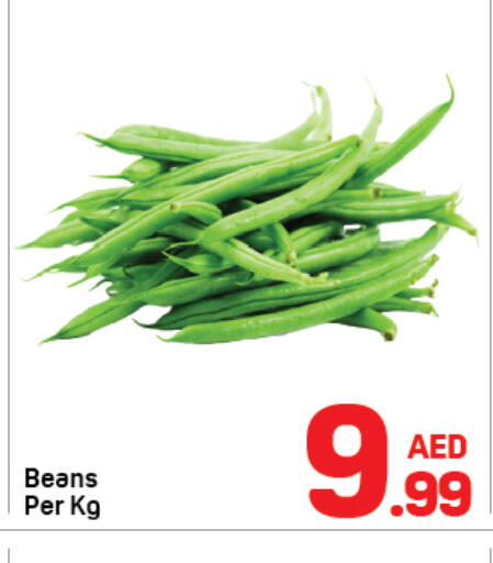 available at دي تو دي in الإمارات العربية المتحدة , الامارات - دبي