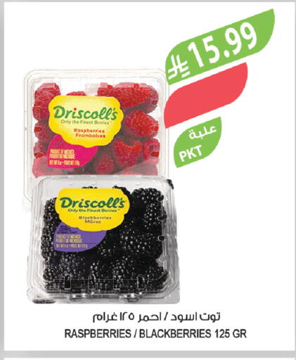 from Mexico available at Farm  in KSA, Saudi Arabia, Saudi - Al Khobar