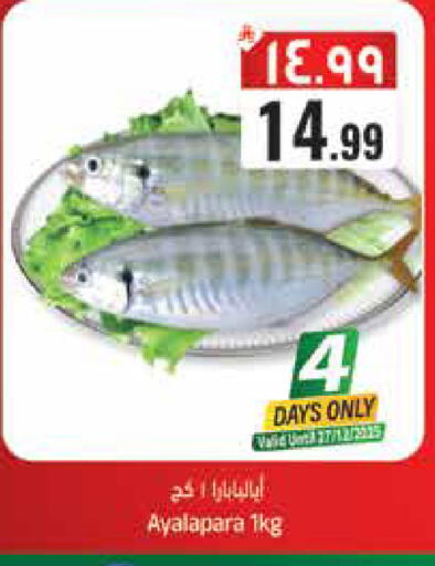 available at City Flower in KSA, Saudi Arabia, Saudi - Hail