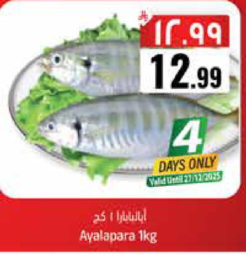 available at ستي فلاور in مملكة العربية السعودية, السعودية, سعودية - سكاكا