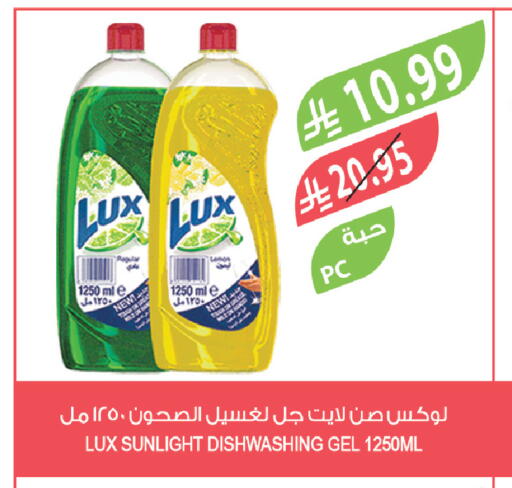 Lemon available at Farm  in KSA, Saudi Arabia, Saudi - Jubail