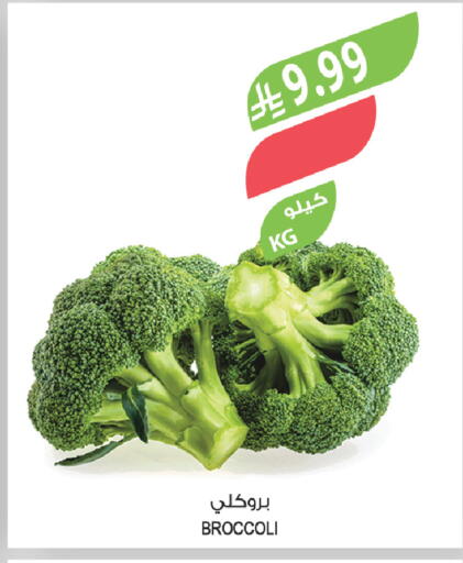 Broccoli available at Farm  in KSA, Saudi Arabia, Saudi - Al Hasa