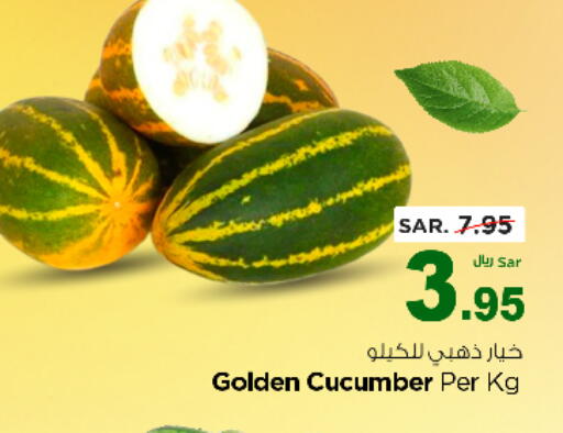 Cucumber available at Nesto in KSA, Saudi Arabia, Saudi - Al Majmaah