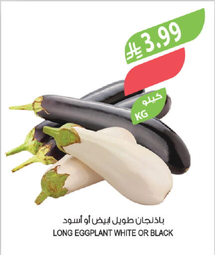 Eggplant available at Farm  in KSA, Saudi Arabia, Saudi - Al Hasa