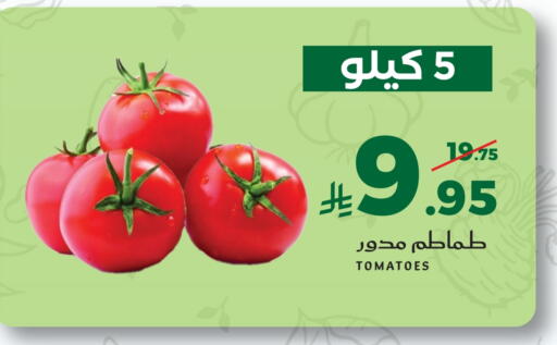 Tomato available at ميرا مارت مول in مملكة العربية السعودية, السعودية, سعودية - جدة