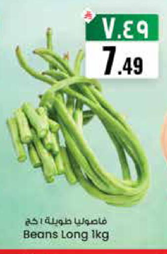 available at City Flower in KSA, Saudi Arabia, Saudi - Riyadh